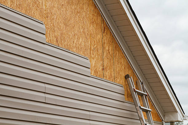 Professional Siding Inspection technician working in Elloree, SC